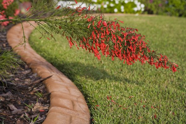 Brick Edging in Crestview